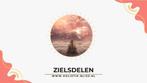 Verloren zielsdelen | biotensor | NEI modules, Boeken, Ophalen of Verzenden, Beta, Zo goed als nieuw, HBO