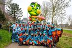 30 Carnavalspakken, loopgroep, thema vlinders en rupsen, Kleding | Dames, Carnavalskleding en Feestkleding, Carnaval, Kleding