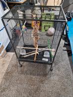 ( Valk )Parkiet /  kleine Papegaai/ Agaponis kooi, Dieren en Toebehoren, Ophalen, Zo goed als nieuw, Speelgoed