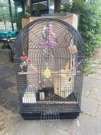 Papegaaienkooi, Dieren en Toebehoren, Vogels | Hokken en Kooien, Ophalen, Zo goed als nieuw, Metaal, Vogelkooi