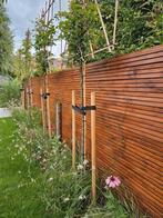 6 Douglas Rhombus planken | 19x140mm | 400 cm lang, Ophalen, Nieuw, 250 cm of meer, Planken