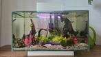 Nano aquarium fluval Edge 23 liter, Dieren en Toebehoren, Vissen | Aquaria en Toebehoren, Ophalen, Gevuld zoetwateraquarium