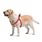 WAUDOG Watermelon Harnas / Hondentuig Borst 60-90 cm KOOPJE!, Ophalen of Verzenden, Nieuw