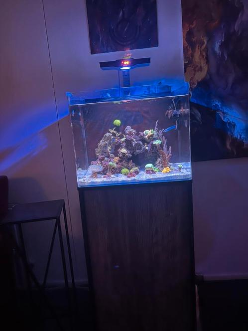 Blue marine 90 Reef Aquarium – Volledig Draaiend Systeem Inc, Dieren en Toebehoren, Vissen | Aquaria en Toebehoren, Zo goed als nieuw