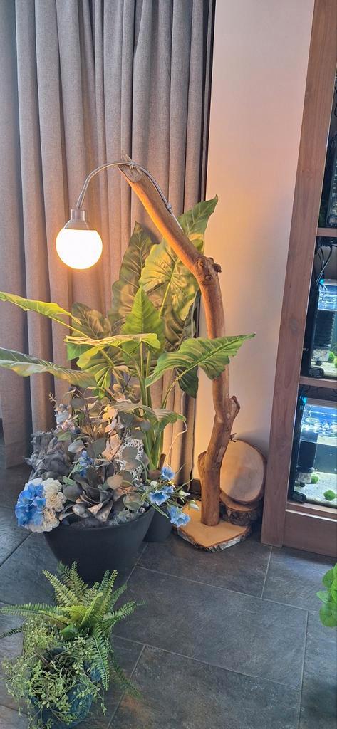 Houten sta lampen, boomstam lamp, Huis en Inrichting, Kamerplanten, Minder dan 100 cm, Halfschaduw, Ophalen