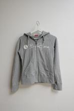Björn Borg vest grijs wit met logo rits capuchon sporten XS, Ophalen of Verzenden, Zo goed als nieuw, Bjorn Borg, Maat 34 (XS) of kleiner