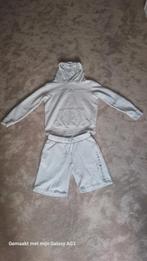 tommy hilfiger, Kleding | Dames, Ophalen of Verzenden, Zo goed als nieuw, Maat 34 (XS) of kleiner, Grijs