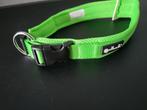 Petlando honden halsband groen, maat XXL 60-65 cm nu € 5,-, Petlando, Nieuw, Www.petlando.com, Info@petlando.com