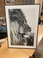 Schilderij met Leeuw in Lijst, Ophalen of Verzenden, Zo goed als nieuw, Schilderij, 50 tot 75 cm