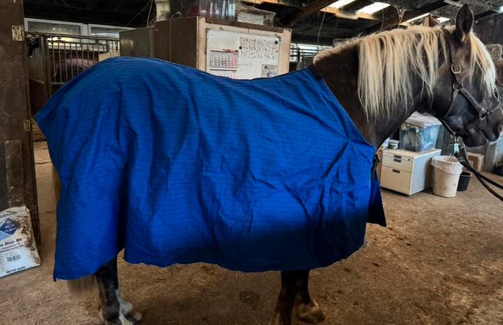 Hengstendeken 205 cm, Dieren en Toebehoren, Paarden en Pony's | Dekens en Dekjes, Zo goed als nieuw, Ophalen of Verzenden