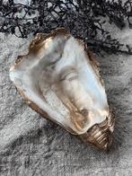 Oesterschelp schaaltje, Huis en Inrichting, Woonaccessoires | Schalen en Manden, Overige materialen, Gebruikt, Schaal, Ophalen of Verzenden