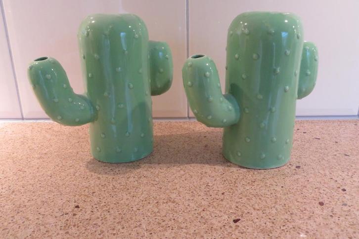 Set van 2 stuks grappige cactus vazen vaas groen keramiek, Huis en Inrichting, Woonaccessoires | Vazen, Zo goed als nieuw, Groen