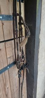 Western hoofdstel, Dieren en Toebehoren, Paarden en Pony's | Hoofdstellen en Tuigage, Ophalen, Western