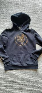 knolpower trui maat 146-152, Gebruikt, Jongen of Meisje, Trui of Vest, Knolpower