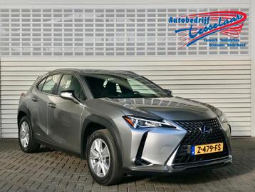 Lexus UX 250h Premium Edition Rijklaarprijs! (bj 2020) beschikbaar voor biedingen