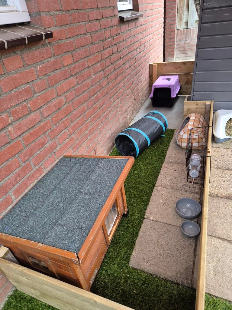 Kleinschalige cavia vakantie opvang, Dieren en Toebehoren, Knaagdieren en Konijnen | Toebehoren, Verzorging, Ophalen