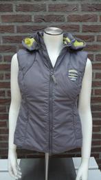 Grijze Harry`s Horse Bodywarmer Maat XS, Ophalen of Verzenden, Zo goed als nieuw, Dames, Bovenkleding