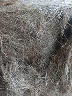 Ronde balen natuurhooi, Ophalen, Vee