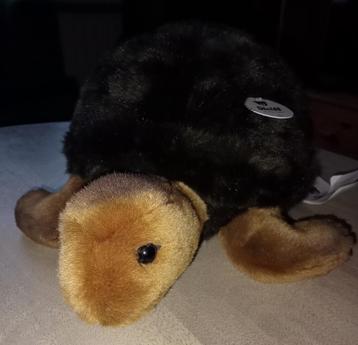 Prachtige nieuwe Steiff schildpad SLO, handgemaakt! Lief! beschikbaar voor biedingen