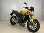 Honda CB 600 F HORNET (bj 2007), Bedrijf, Naked bike
