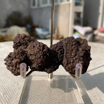 Dinosauruspoep COPROLITE (A1) beschikbaar voor biedingen