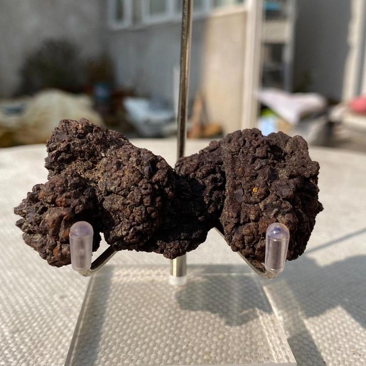 Dinosauruspoep COPROLITE (A1), Verzamelen, Mineralen en Fossielen, Fossiel, Ophalen of Verzenden