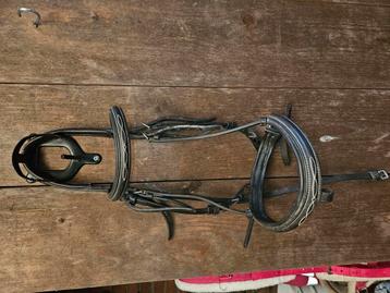 Bruin hoofdstel maat cob  beschikbaar voor biedingen