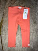 Noppies legging maat 68 Nieuw!, Kinderen en Baby's, Babykleding | Maat 68, Ophalen of Verzenden, Nieuw, Meisje, Broekje