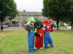 Mascottes Mario & Luigi, Ophalen of Verzenden, Zo goed als nieuw, Verjaardag