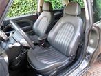 MINI Cooper 1.6 Park Lane R50 NL-auto, Leer, Cruise, Clima e, Auto's, Mini, Gebruikt, 4 cilinders, Met garantie (alle), 4 stoelen