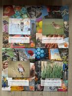 Nederland 2001-2022 bladen geillustreerd verzamelen NIEUW, Postzegels en Munten, Postzegels | Toebehoren, Ophalen of Verzenden