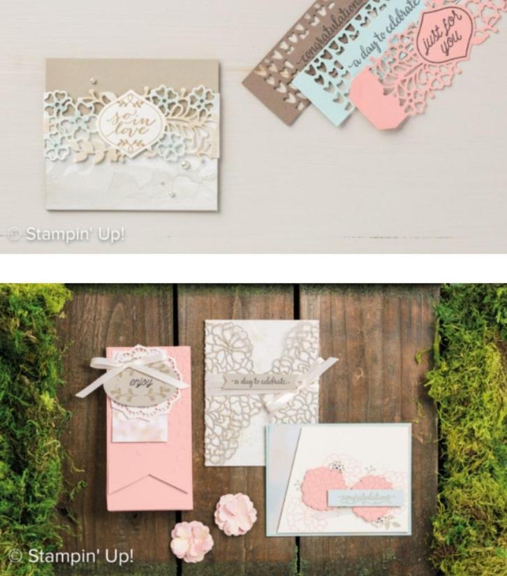 Stampin' Up! bundel So Detailed So in Love, Hobby en Vrije tijd, Kaarten | Zelf maken, Gebruikt, Overige typen, Overige thema's