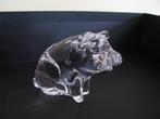 Kristal beeld * Nachtmann * PIG / VARKEN / BIG / ZEUG / KEU, Verzamelen, Beelden en Beeldjes, Ophalen of Verzenden, Zo goed als nieuw