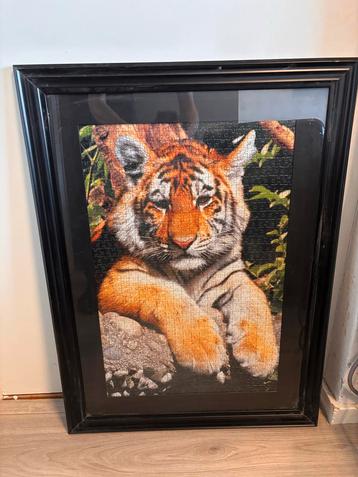 Schilderij Puzzel - Tijger in Lijst beschikbaar voor biedingen