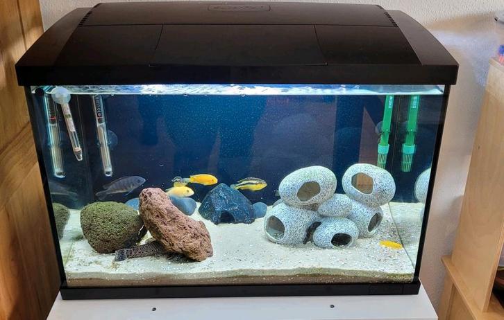 Aquarium superfish 70, Dieren en Toebehoren, Vissen | Aquaria en Toebehoren, Gebruikt, Leeg aquarium, Ophalen