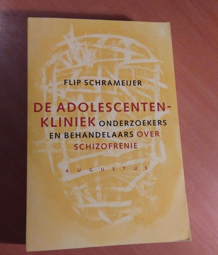 Flip Schrameijer - De adolescentenfabriek, Boeken, Psychologie, Zo goed als nieuw, Sociale psychologie, Ophalen of Verzenden