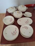 Servies P. REGOUT & CO. 23  delig., Ophalen