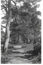 Ede- -De Traa., Verzamelen, Ansichtkaarten | Nederland, Verzenden, 1940 tot 1960, Gelopen, Gelderland