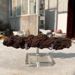 Dinosauruspoep COPROLITE, GROOT STUK, EYE CATCHER (Z), Ophalen of Verzenden, Fossiel