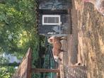 2 x Merrie  Pony, Dieren en Toebehoren, Merrie