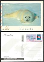 CANADA 1997 Seal Pup on Ice Floe Postcard, MINT., Verzenden, Postfris, Dier of Natuur
