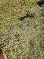 Te koop hooi, Dieren en Toebehoren, Stalling en Weidegang