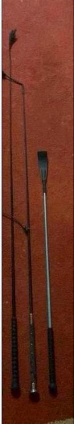 Dressuur- en springzwepen te koop, Ophalen, Gebruikt, Overige soorten