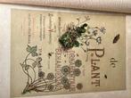 De Plant in hare Ornamentale Behandeling, luxe uitgave, 1888, Ophalen of Verzenden, Zie beschrijving