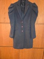 Prachtige winterjas., Kleding | Dames, Jassen | Winter, Ophalen of Verzenden, Zo goed als nieuw, Grijs, Maat 46/48 (XL) of groter