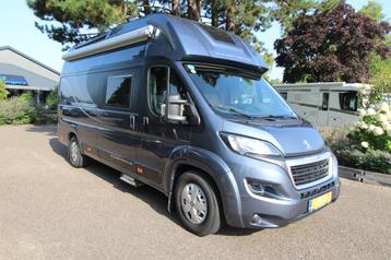 Globe Traveller VOYAGER Z (bj 2018) beschikbaar voor biedingen