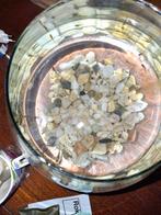 Vissenkom met endler guppies, Dieren en Toebehoren, Vissen | Aquariumvissen, Vis