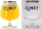 6 Ciney Bierglazen 25cl Type Bleu, Ophalen of Verzenden, Zo goed als nieuw, Glas of Glazen, Overige merken