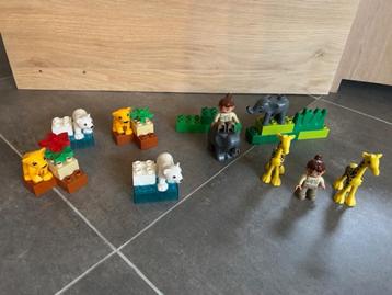 lego duplo zoo beschikbaar voor biedingen