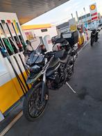 Triumph Tiger 800XC - Prachtige staat!, 3 cilinders, Sportuitlaat, Meer dan 35 kW, Toermotor